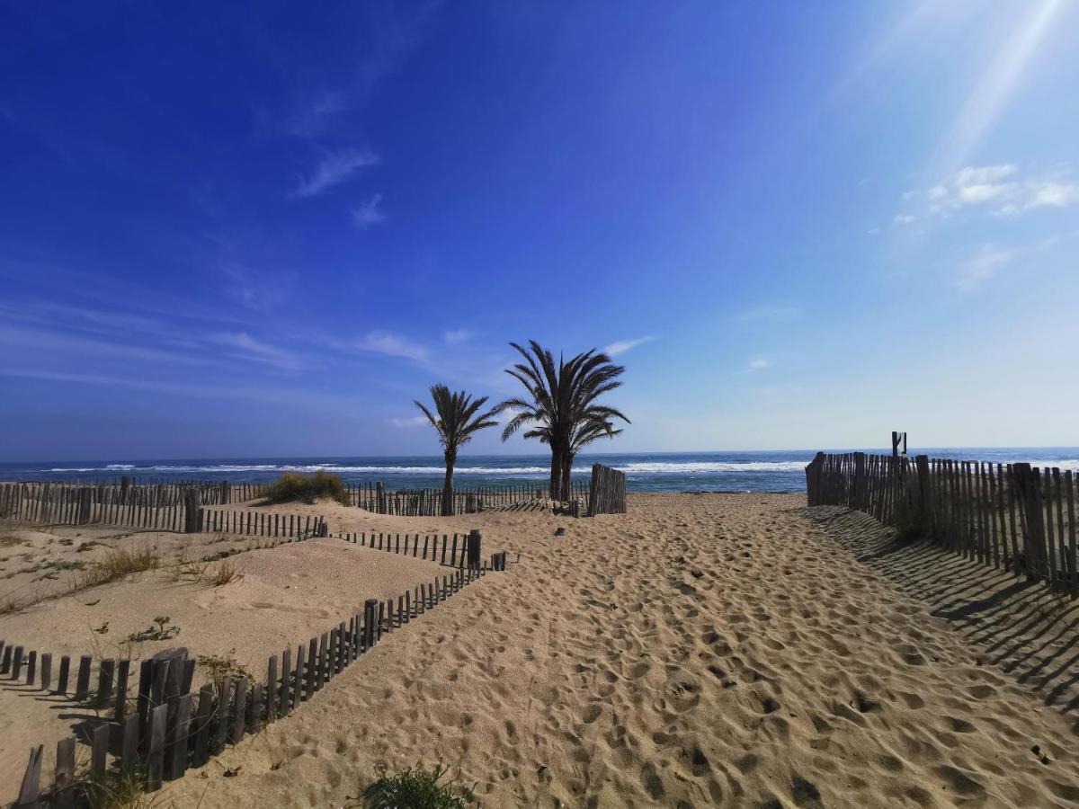 Soleil Levant 2 - En Bord De Mer - Superbe Appartement Cosy - Acces Direct Plage - Proche Commerces Et Animations Le Barcarès Zewnętrze zdjęcie